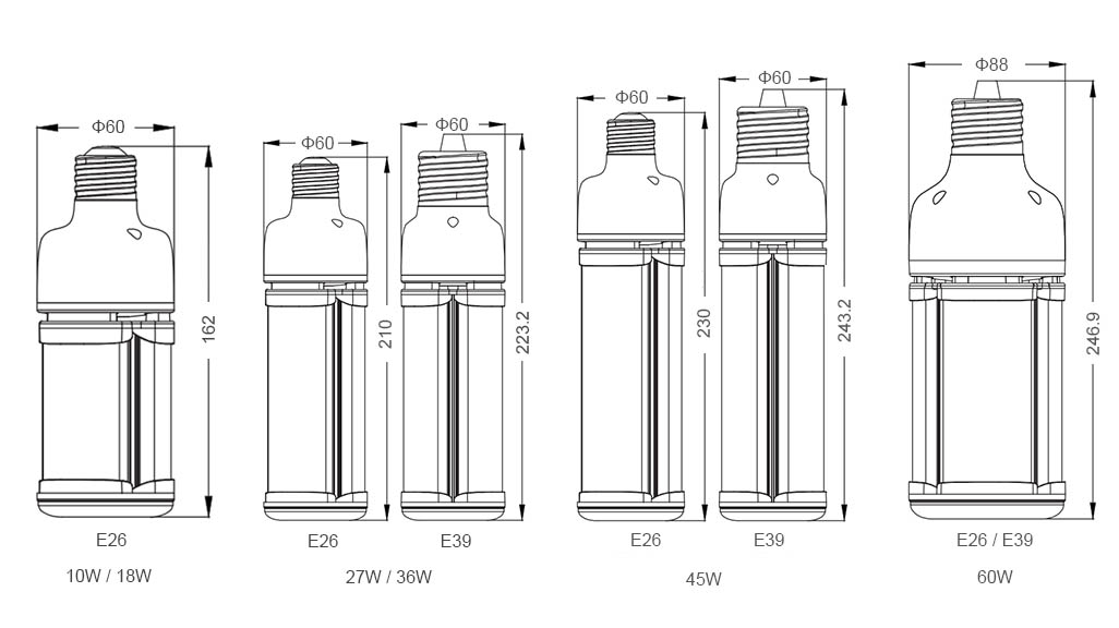 corn light size