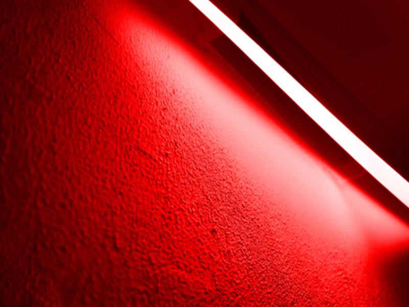 Flexible LED Neon Lights -  - 25