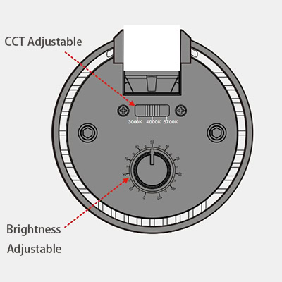 Track Light Spotlight -  - 5