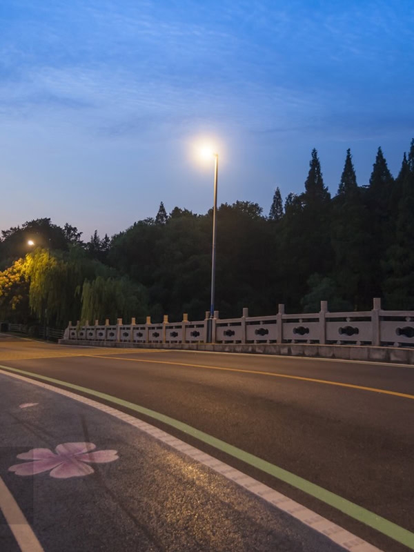 LED Solar Lights -  - 26